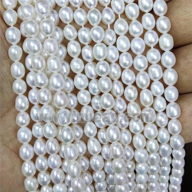 white Freshwater Pearl rice beads