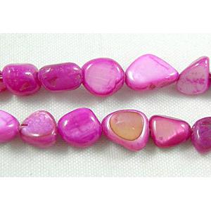 32 inches string of freshwater shell beads, freeform, hot-pink