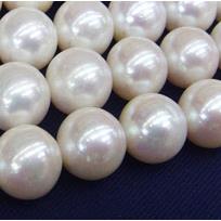 round white Pearlized Shell Beads