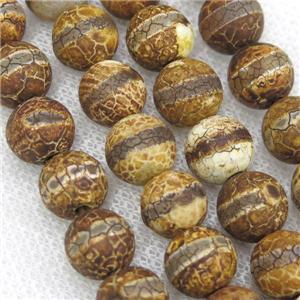 round crackle tibetan agate beads, line, antique coffee, approx 10mm dia