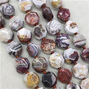 Natural Mexican Crazy Lace Agate Beads Faceted Coin Circle, approx 20mm