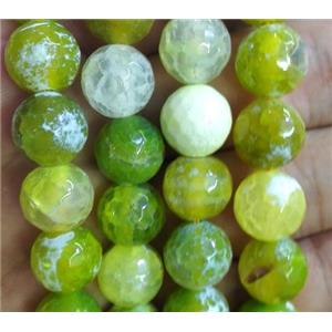 olive Fired Agate Beads, faceted round, approx 12mm dia, 15.5 inches