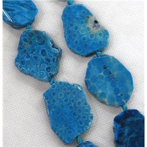 blue Coral Fossil slice beads, approx 20-40mm