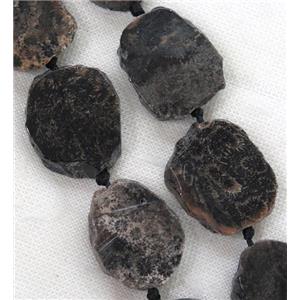 black Coral Fossil slab beads, approx 20-40mm