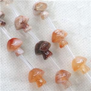 Cherry Agate Mushroom Beads, approx 14-16mm, 14pcs per st