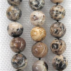round Coral Fossil Beads, approx 12mm dia