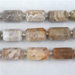 Coral Fossil tube beads, approx 13-25mm