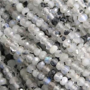 MoonStone Beads, faceted rondelle, approx 3mm