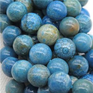round blue Coral Fossil Beads, Petoskey, approx 8mm dia