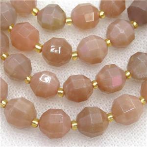 peach Moonstone beads, faceted bullet, approx 10mm dia