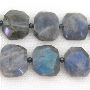 Labradorite Beads, faceted rectangle, approx 20-23mm