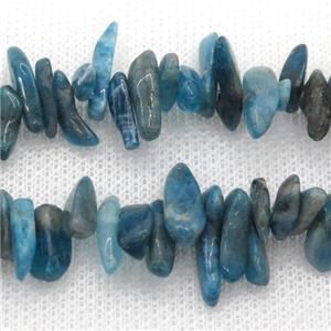 blue Apatite beads chip, approx 4-12mm