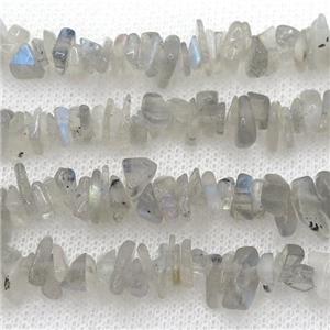 Labradorite chip beads, approx 4-6mm, 32inch length