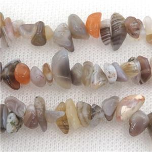 Botswana Agate chip beads, approx 4-6mm, 32inch length