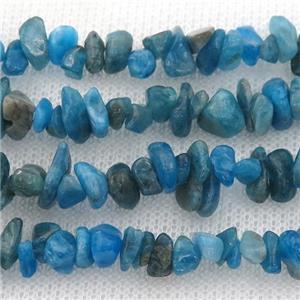 blue Apatite beads chip, approx 4-6mm, 32inch length