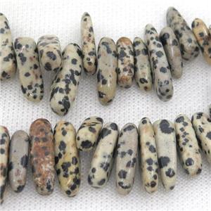 black Dalmatian Jasper chip beads, approx 6-22mm