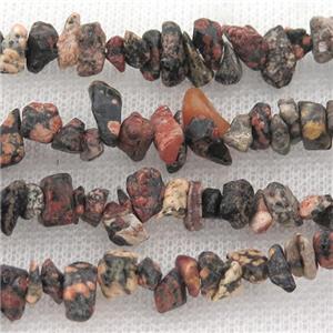 leopardSkin Jasper chip beads, approx 5-8mm