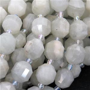 white MoonStone bullet beads, approx 9-10mm