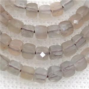 grey MoonStone Beads, faceted cube, approx 4mm