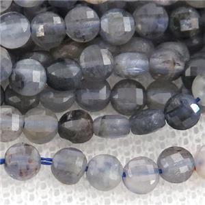 Iolite Beads, faceted coin, approx 4mm dia