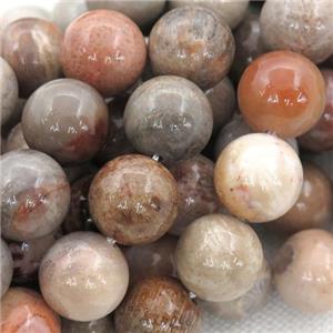 round Coral Fossil Beads, mixed color, approx 8mm dia