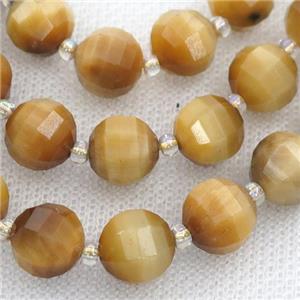 gold Tiger eye stone lantern Beads, approx 10mm dia