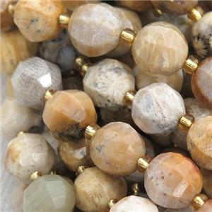 yellow Coral Fossil lantern beads, approx 10mm dia