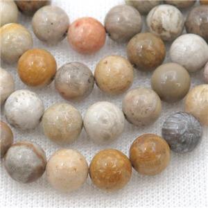 natural Coral Fossil Beads, round, approx 8mm dia