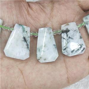 green Tree Agate teardrop beads, top-drilled, approx 12-27mm