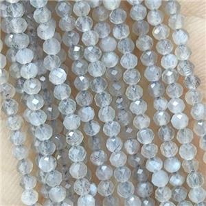 Labradorite Seed Beads Faceted Round, approx 2mm dia