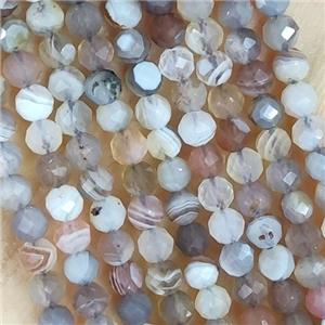 Botswana Agate Beads Tiny Faceted Round, approx 3mm dia