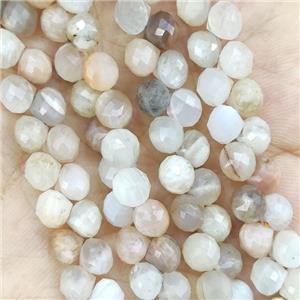 MoonStone Teardrop Beads Mix Top-drilled, approx 6mm