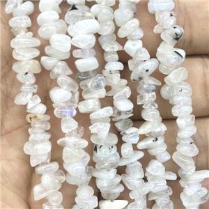 White Moonstone Chip Beads Freeform, approx 5-8mm, 36inch length