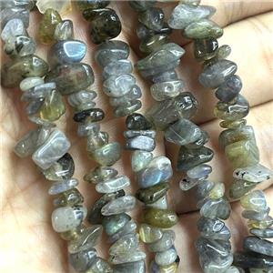 Labradorite Chip Beads Freeform, approx 5-8mm, 36inch length