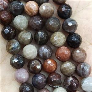 Wood Petrified Jasper Beads Faceted Round, approx 10mm dia