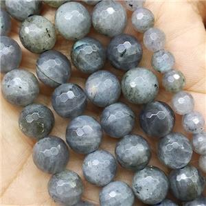 Labradorite Beads Faceted Round, approx 10mm dia