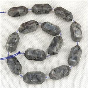 Black Labradorite Beads Prism, approx 13-27mm, 12pcs per st