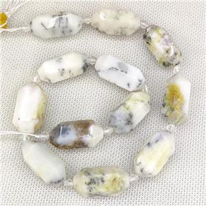 White Moss Opal Prism Beads, approx 13-27mm, 12pcs per st