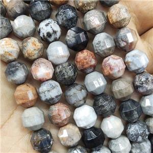 Coral Fossil Prism Beads Multicolor, approx 10mm