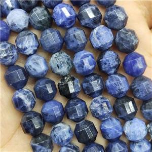 Blue Sodalite Beads Prism, approx 8mm