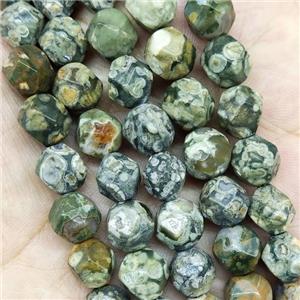 Green Rhyolite Beads Cut Round, approx 9-10mm