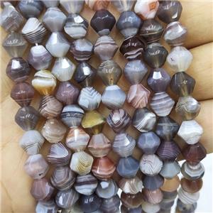 Natural Botswana Agate Beads Bicone, approx 8mm