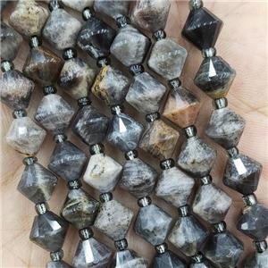 Black Sunstone Beads Bicone, approx 8mm