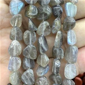 Natural Labradorite Chip Beads Freeform, approx 6-9mm