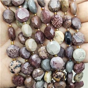 Natural Chohua Jasper Beads Faceted Circle, approx 12mm