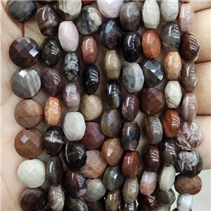 Natural Wood Petrified Jasper Beads Multicolor Faceted Circle, approx 10mm
