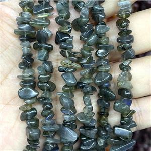 Natural Labradorite Chip Beads Freeform, approx 5-8mm, 32inch length