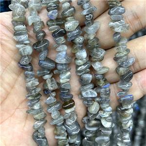 Natural Labradorite Beads Chip Freeform, approx 5-8mm, 32inch length