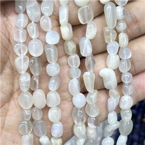 Natural Moonstone Chips Beads Gray Freeform, approx 5-8mm