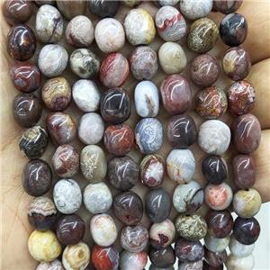 Natural Crazy Lace Agate Chips Beads Freeform Multicolor, approx 6-9mm